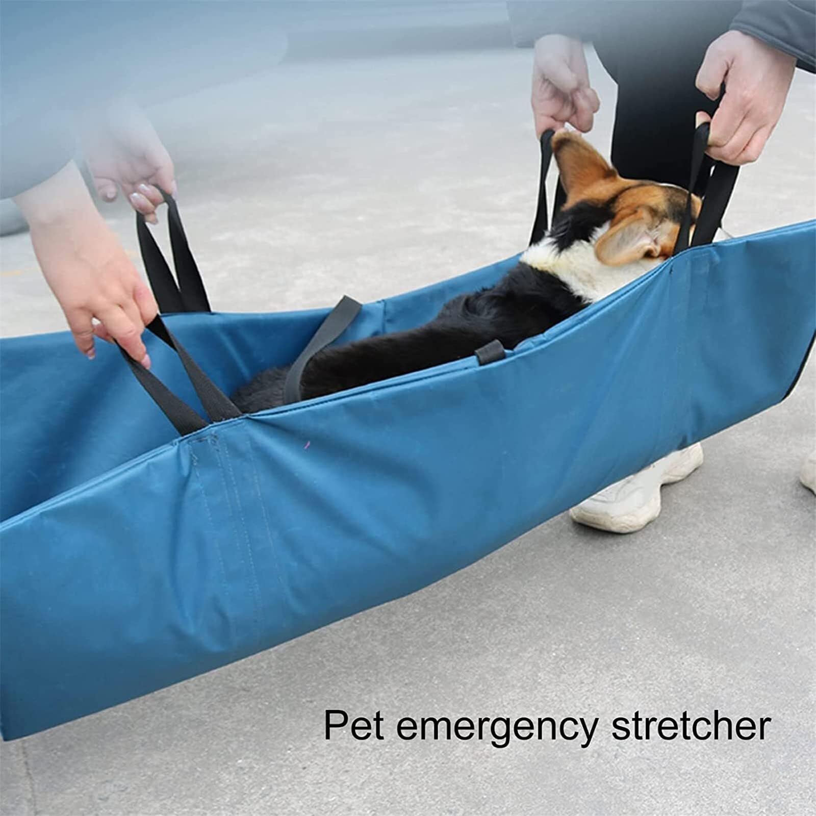 Barella for animali domestici, barella da trasporto pieghevole for cani e altri animali, barella for cani, trasporto di emergenza for animali con cinghia di sicurezza regolabile
