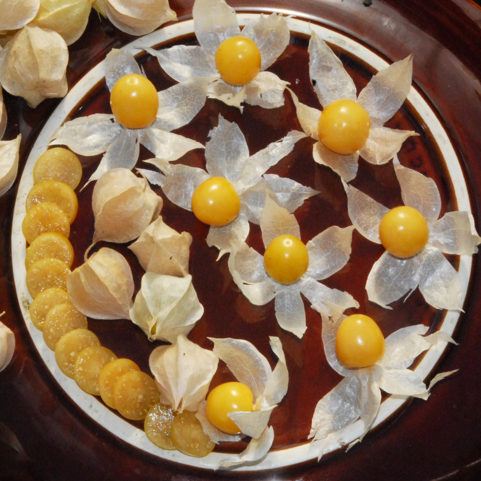 Plant World Seeds - Golden Berry Seeds (Exotic Fruit Seeds)
