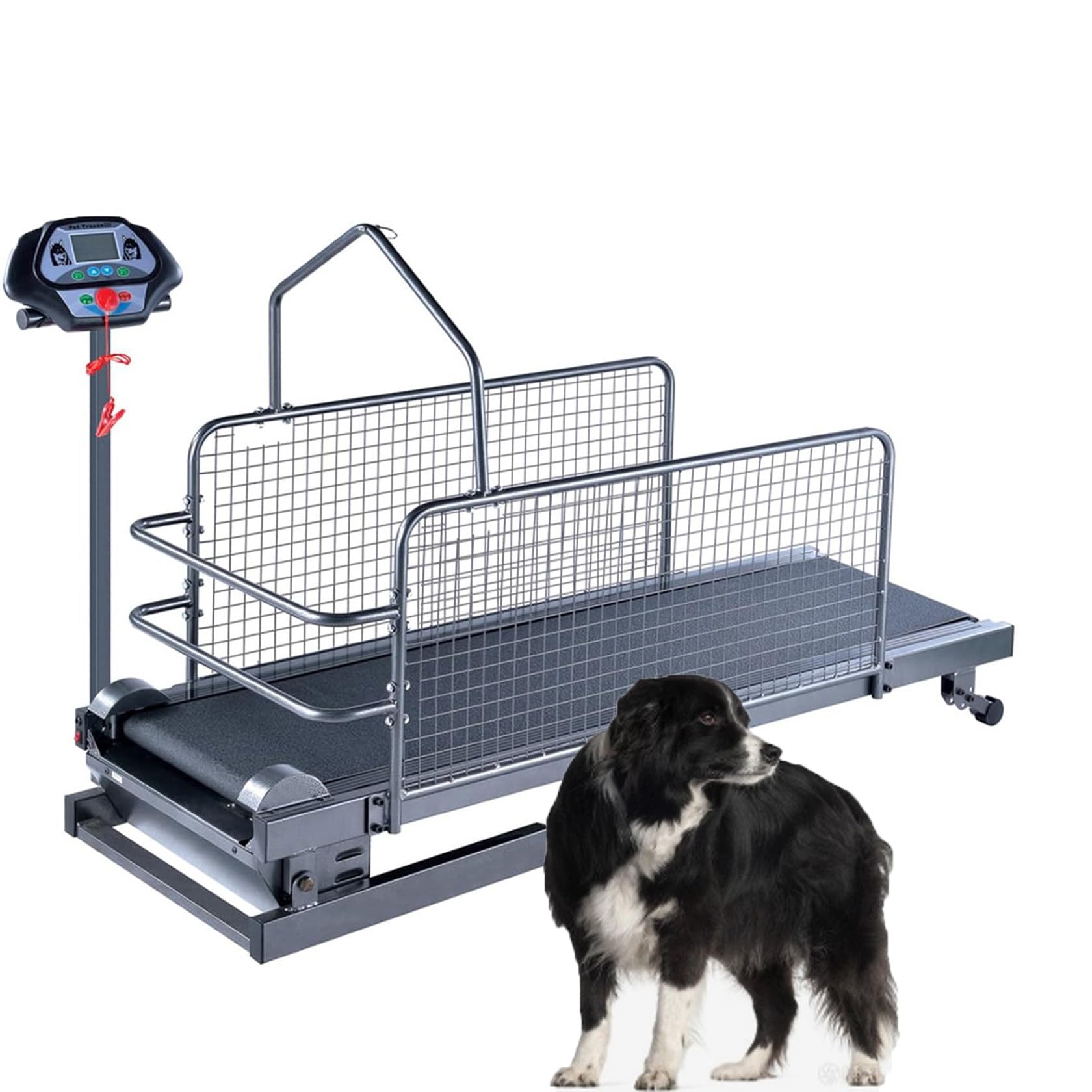 Hundelaufband, HundelaufgeräT, Hundelaufband FüR MittelgroßE/GroßE Hunde, Geschwindigkeit 0,8–12 Km/H, Mit Display, FüR Gesunde Und Fitte Haustiere, Bis Zu 220 Pfund, Anzeige Von Geschwindigkeit
