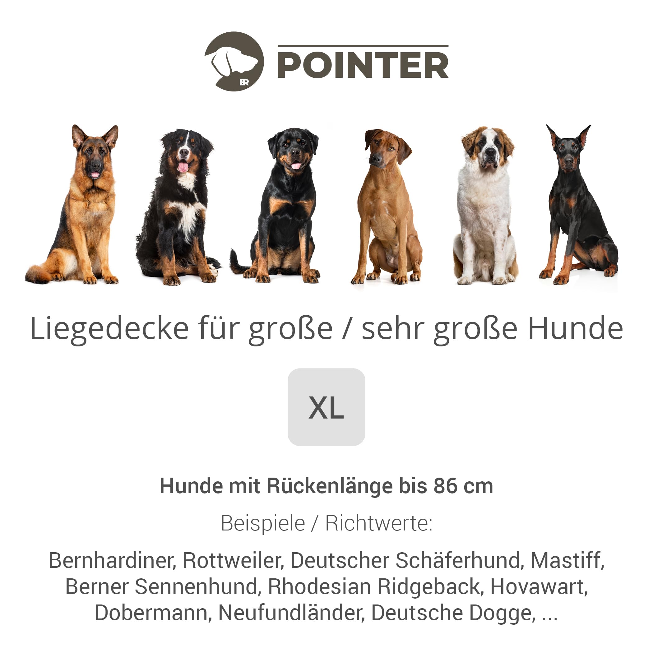 Pointer | Hundedecke 130 x 110 cm, Gepolstert & Strapazierfähig - Hundematte Waschbar bis 95°C, Liegedecke für Boden oder Sofaschutz - Outdoor geeignet (XL - 130x110 cm, Grau)