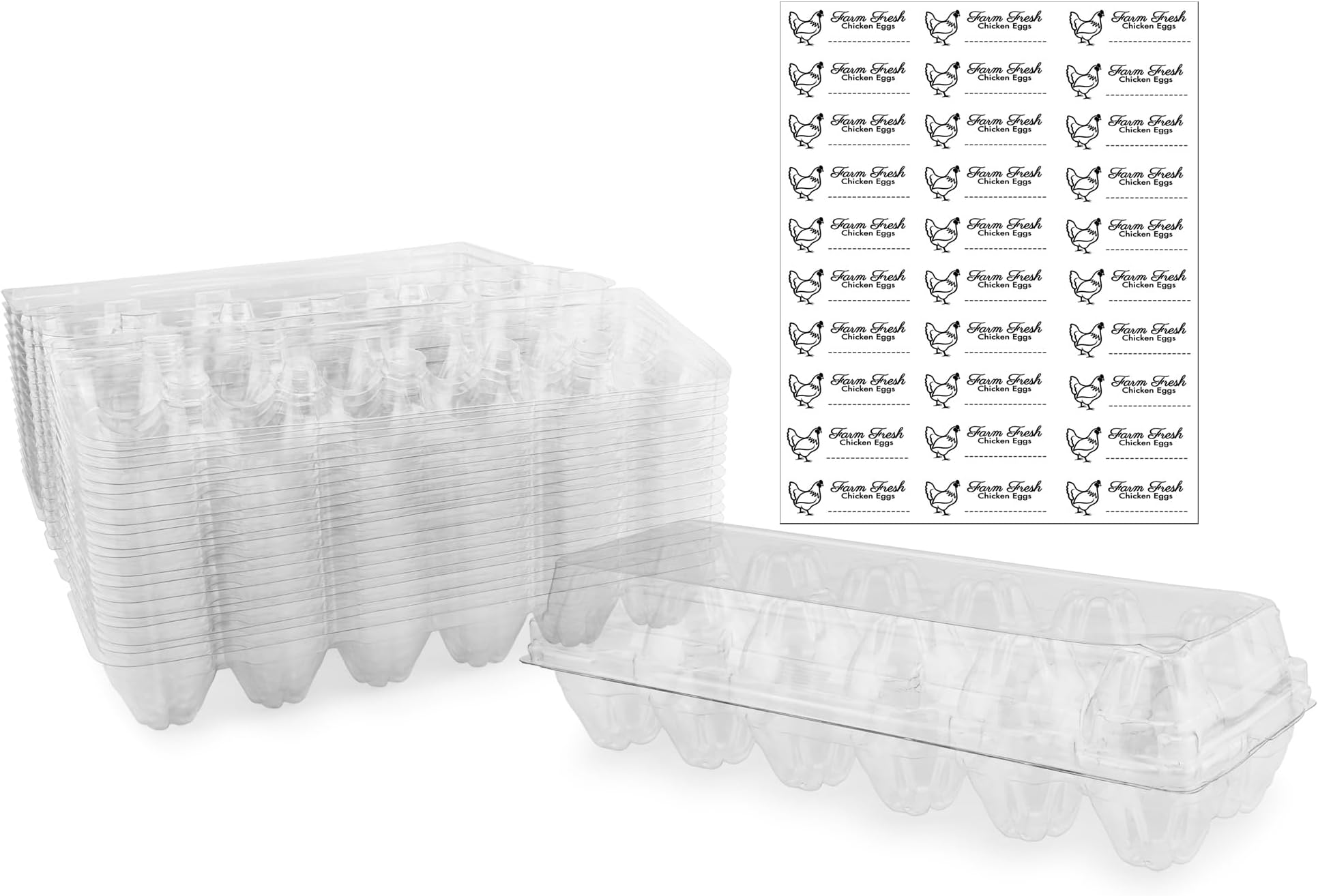 Clear Plastic Egg Cartons (20-Pack); Tri-Fold Containers for One Dozen Eggs