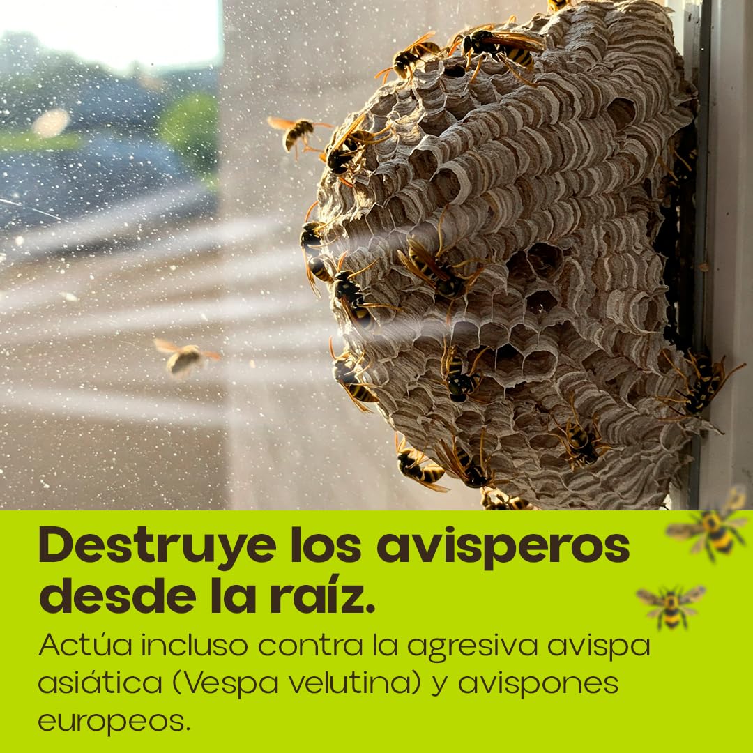 PREBEN Insecticida Avispas | Especial Avisperos 750 ml | Spray de Largo Alcance | Muy Eficaz para Avispas, Avispas Asiática y Avispones | Pulveriza hasta 4 Metros | Uso Exterior | Nexum Market
