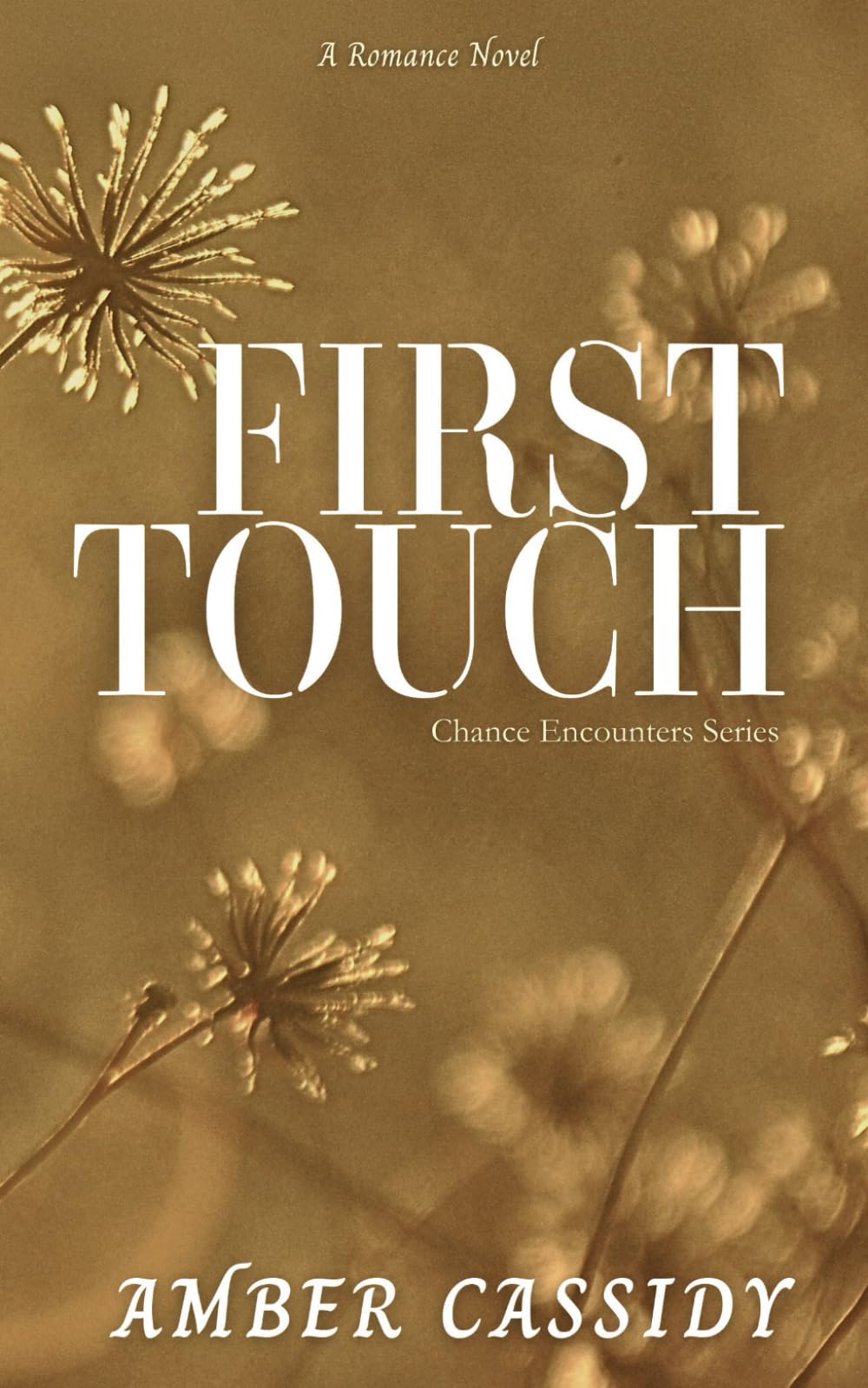First Touch: 2 (Chance Encounters)