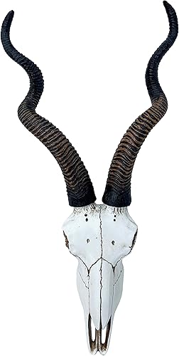 Top Brass Calavera de antílope Kudu africano de 14 12 pulgadas, cabeza de montaje en pared, decoración rústica de safari