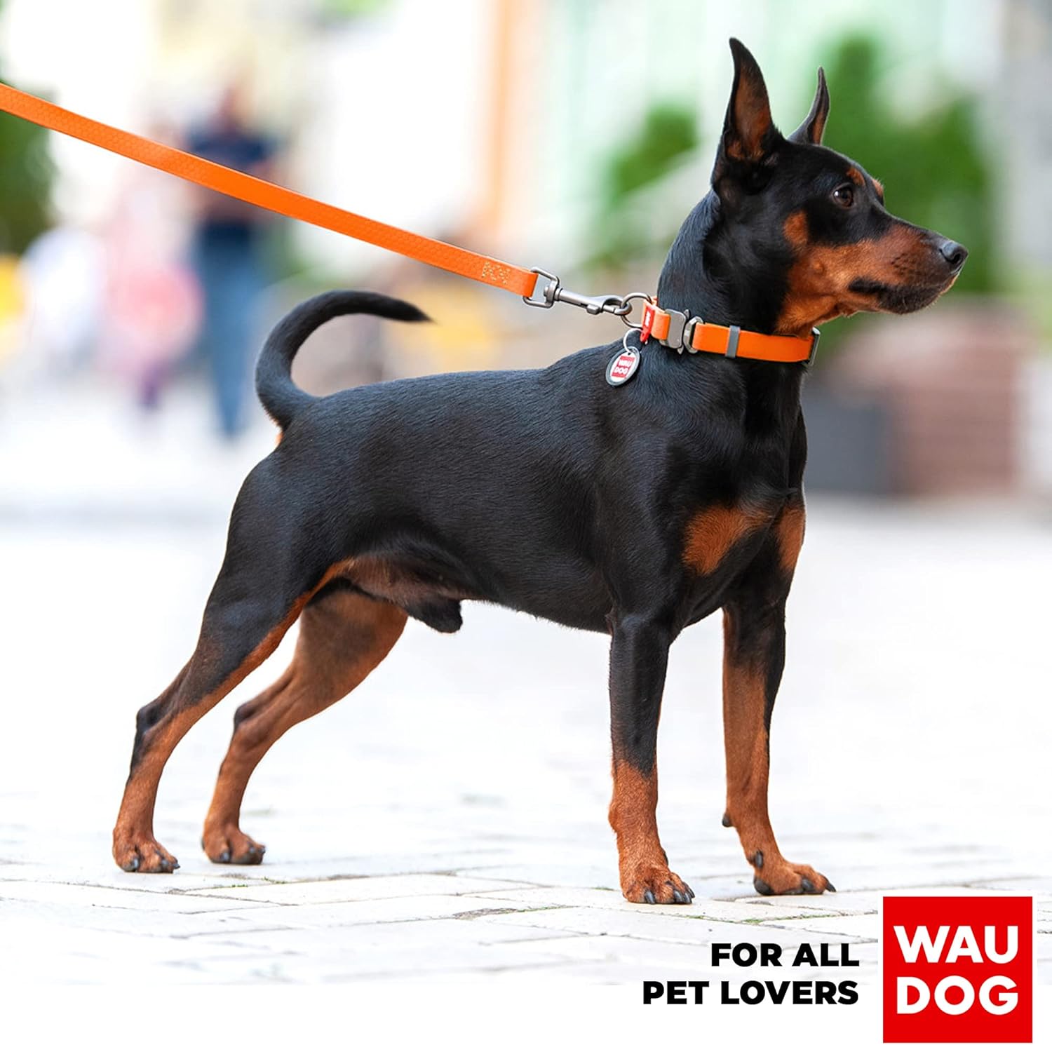 Waterproof Dog Harness 3/5 Wide Orange/Waterproof Dog Leash 6Ft Orange