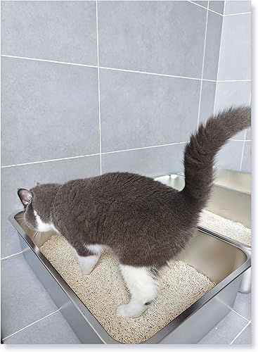 Miniatura 2 de IKITCHEN Caja de arena grande de acero inoxidable para gatos (19.5 pulgadas de largo x 13.5 pulgadas de ancho x 6 pulgadas de alto), bandeja de