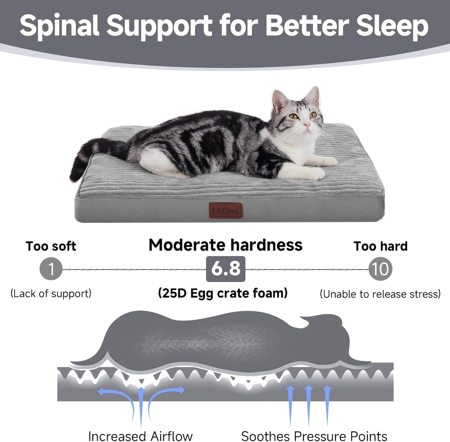 OhGeni Orthopedic Waterproof & Machine Washable Dog Bed for Small Pets, Suitable for Crates, Cat Mat with 25D Egg Crate Foam, Non-Slip Bottom & Removable Cover, 24 Inches(Gray)