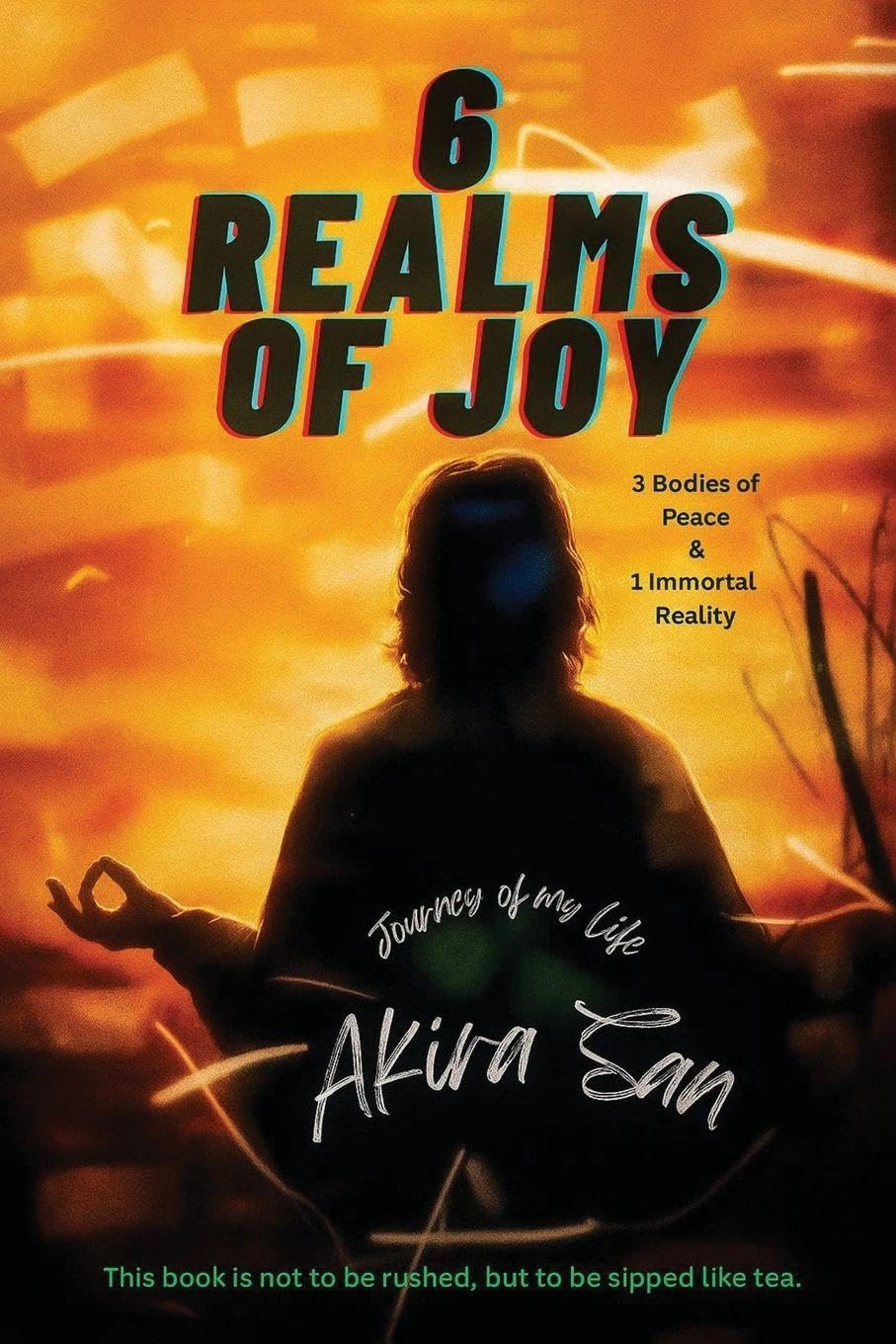6 Realms of Joy - 3 Bodies of Peace & 1 Immortal Reality: Journey of my life