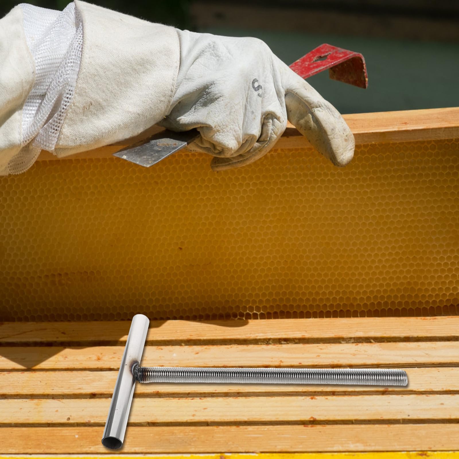 Accessorio a vite a spirale in acciaio inossidabile per pressa per - Maniglia a T con asta a vite per pressa e estrattore di - Strumento manuale per apicoltura