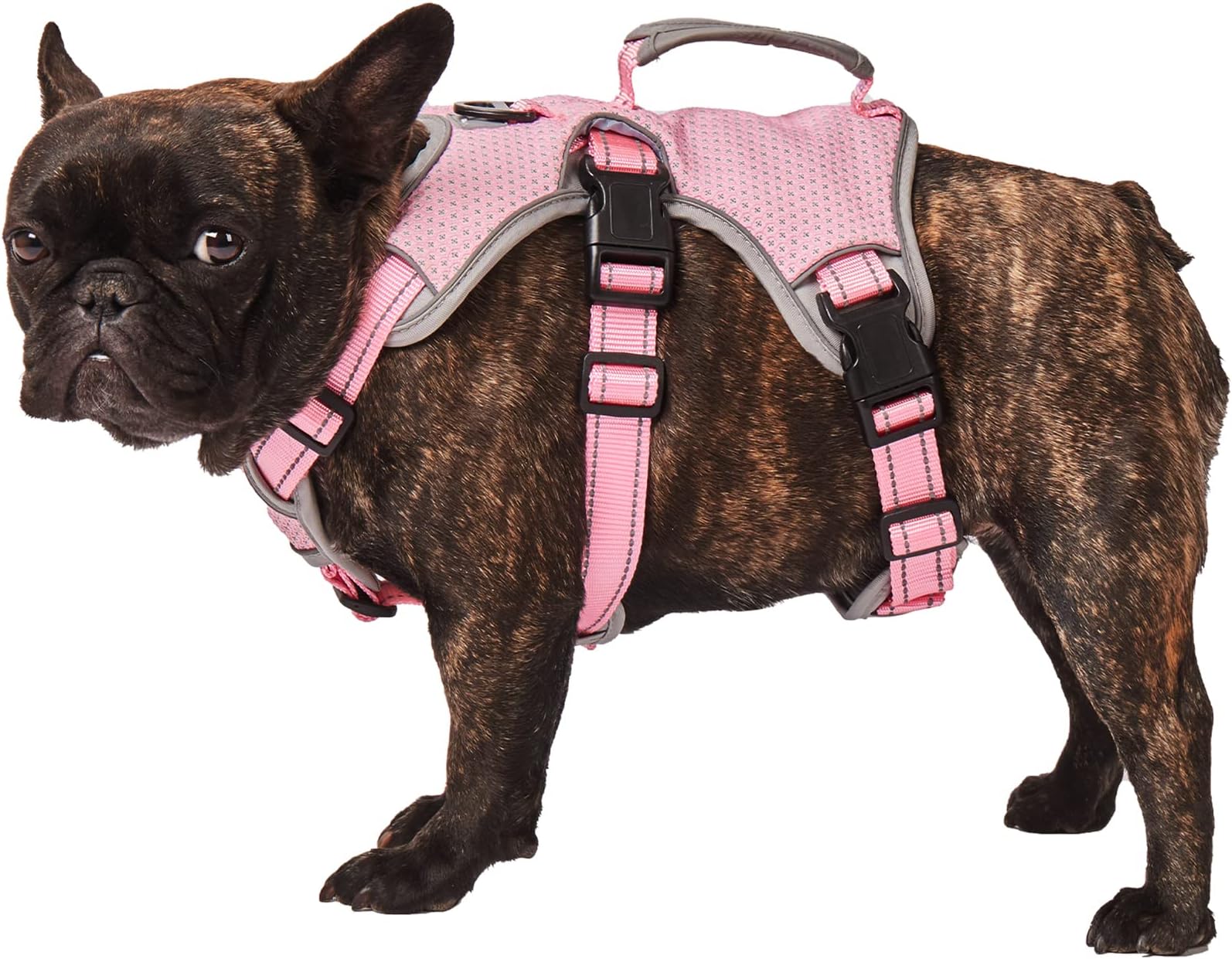 AKAILEA Small Dog Harness Escape Proof Dog Harness with