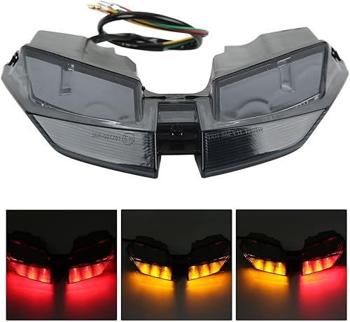 Miniatura 4 de Fydun Luz trasera LED para motocicleta, IP67, impermeable, lente ahumada, 12 V, lámpara de parada trasera para Ducati HYPERMOTARD 821 939 950 SP