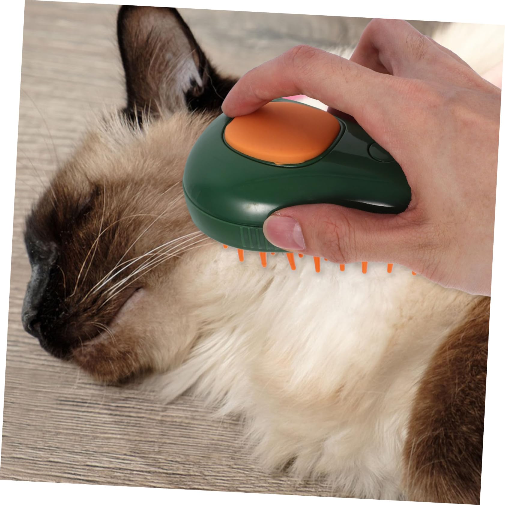 Sosoport 5pièces Brosse à Poils De Chat Et Chien Avec Vapeur Brosse De Bain Auto-nettoyante Et Massante Pour Animaux De Compagnie Couleur Verte