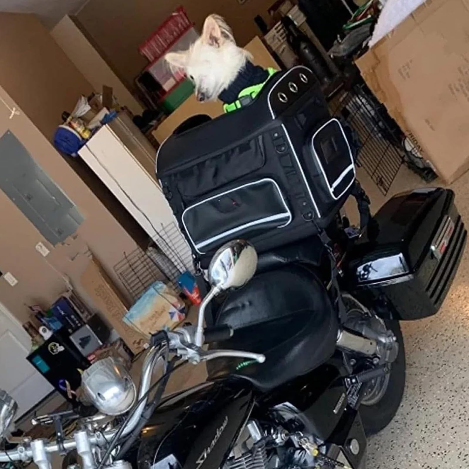 Trasportino pieghevole da moto, traspirante, in tessuto Oxford, per cani e gatti fino a 15 kg