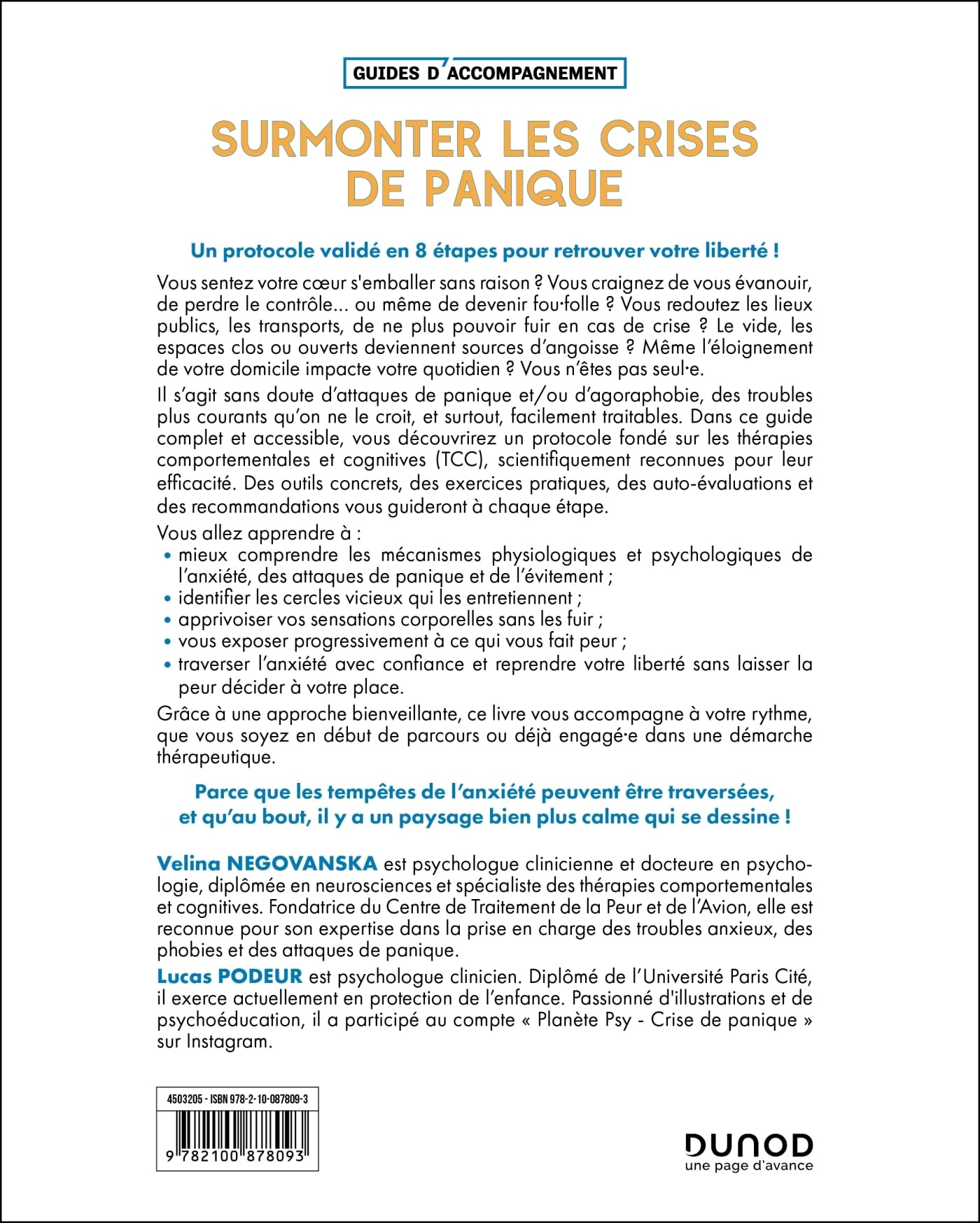 Surmonter les crises de panique: Guide pratique pour mieux maîtriser les tempêtes liées à l'anxiété