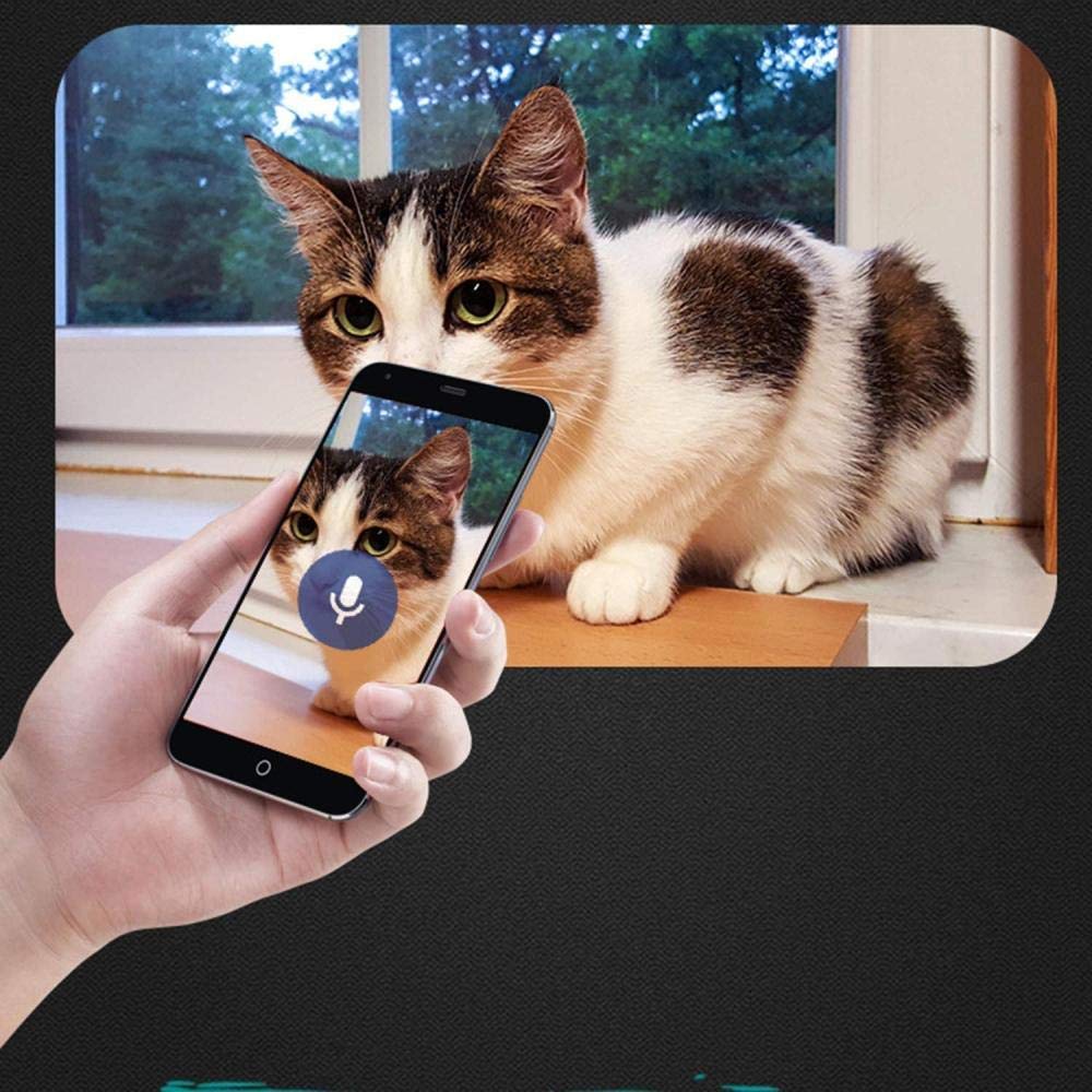 6L Alimentatore Automatico di Animali Domestici Dispenser per Alimenti Controllo App WiFi Videosorveglianza Registratore vocale Timer programmabile Staccabile per Cani e Gatti -Bianco
