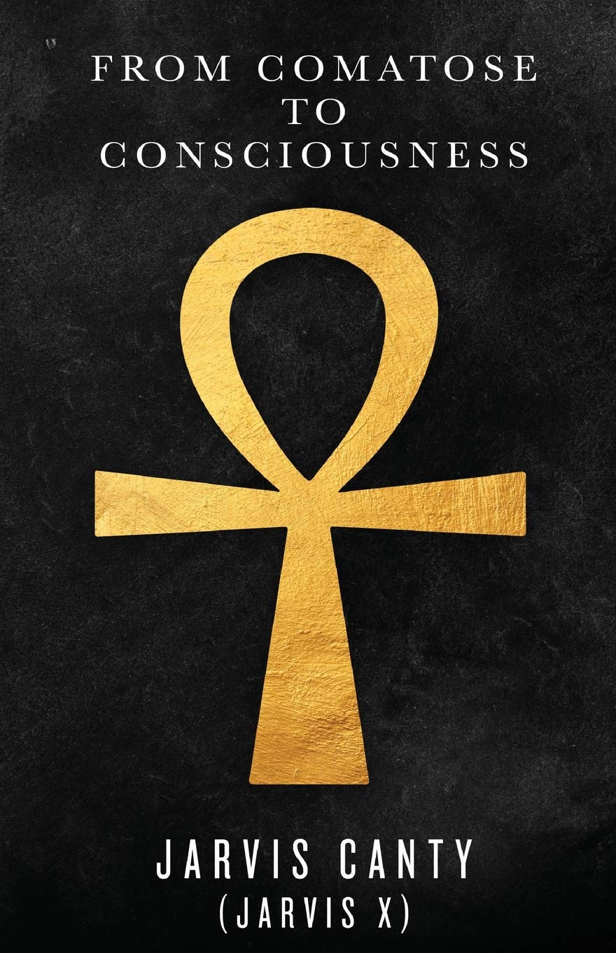 From Comatose To Consciousness Desertcart Seychelles