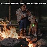 Ver la foto 2