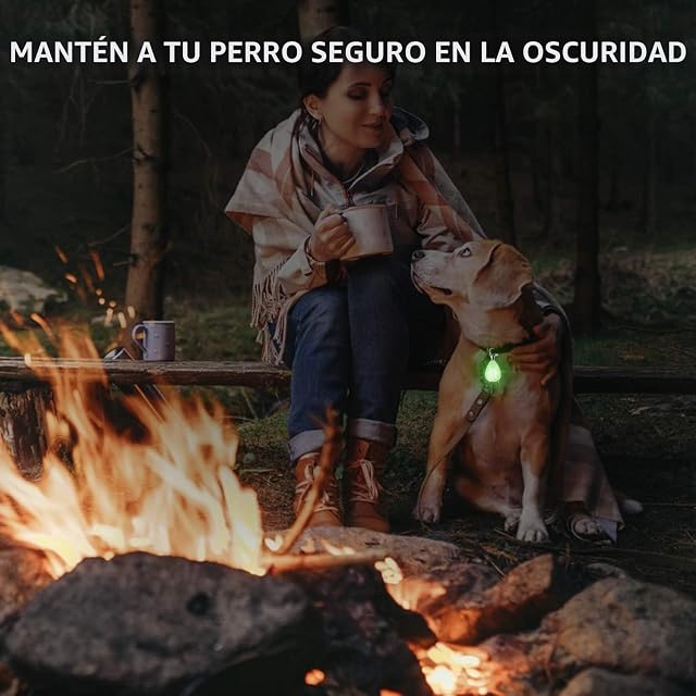 Foto 2 de 8 de Paquete de 2 luces de perro con USB recargable, collar de perro