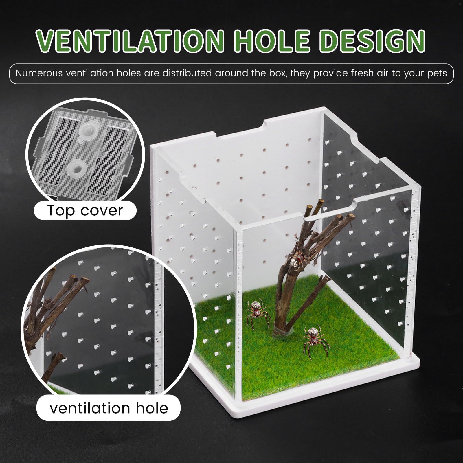 Acrylic Jumping Spider Enclosure, 2.95×2.95×2.87in Transparent Reptile Terrarium - Image 3
