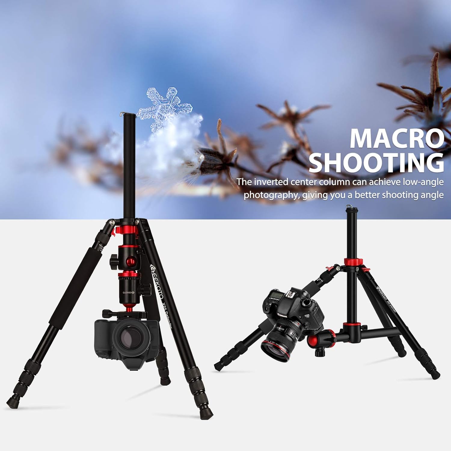 GEEKOTO Camera Tripod, Tripod for DSLR Camera, Aluminum Tripod with 360-Degree Ball Head and Rotatable Center Column, Bag,Video Camcorder Tripod,75-Inch Professional Tripod for Travel and Work. : Electronics