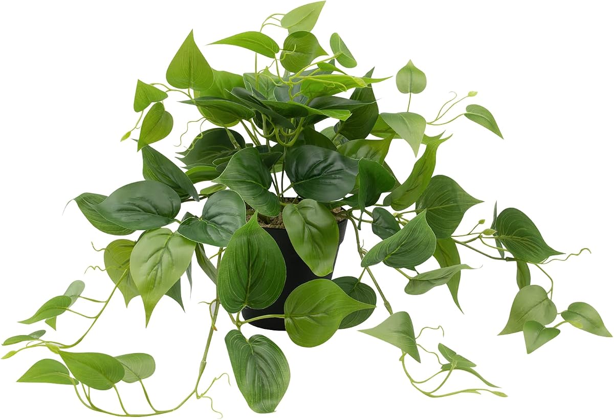 Artificial Scindapsus Aureus Fake Pothos Plants in Black Pots - Realistic Faux Indoor Greenery Potted for Home, Office, Desk, Shelf, Living Room, Bedroom, Balcony, Patio & Garden Decor