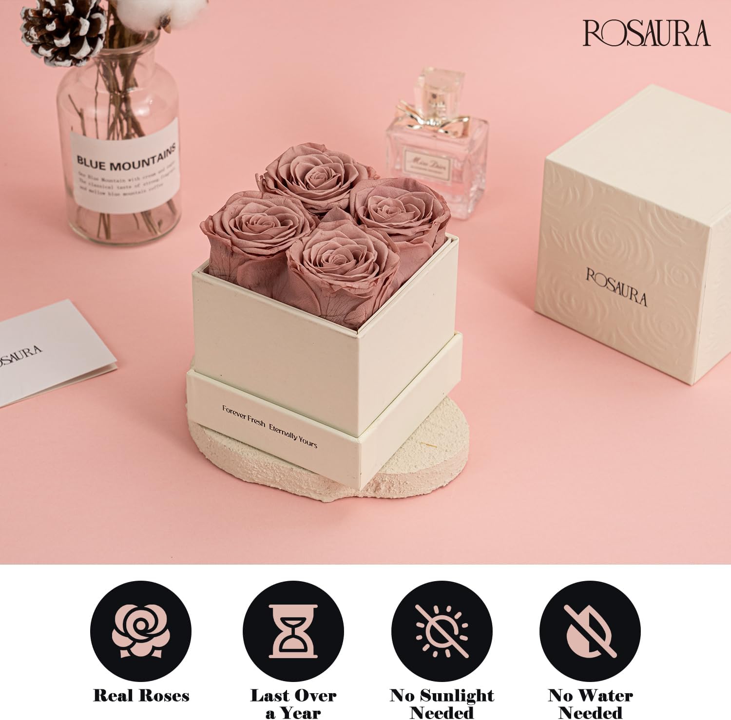 Rosaura 4-Piece Eternal Preserved Roses & Flowers Gift Box - Forever Lasting Real Roses, Preserved Flowers for Valentine's Day Cappuccino - Image 5
