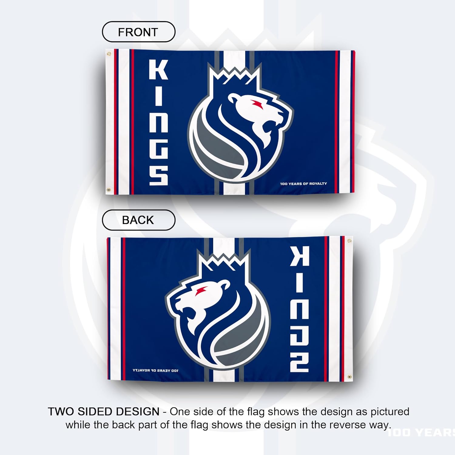 Desert Cactus Sacramento Kings Flag NBA 100% Polyester Indoor Outdoor 3x5 feet National Basketball Association Team Flags (Flag City Edition 2023 B) - Image 2