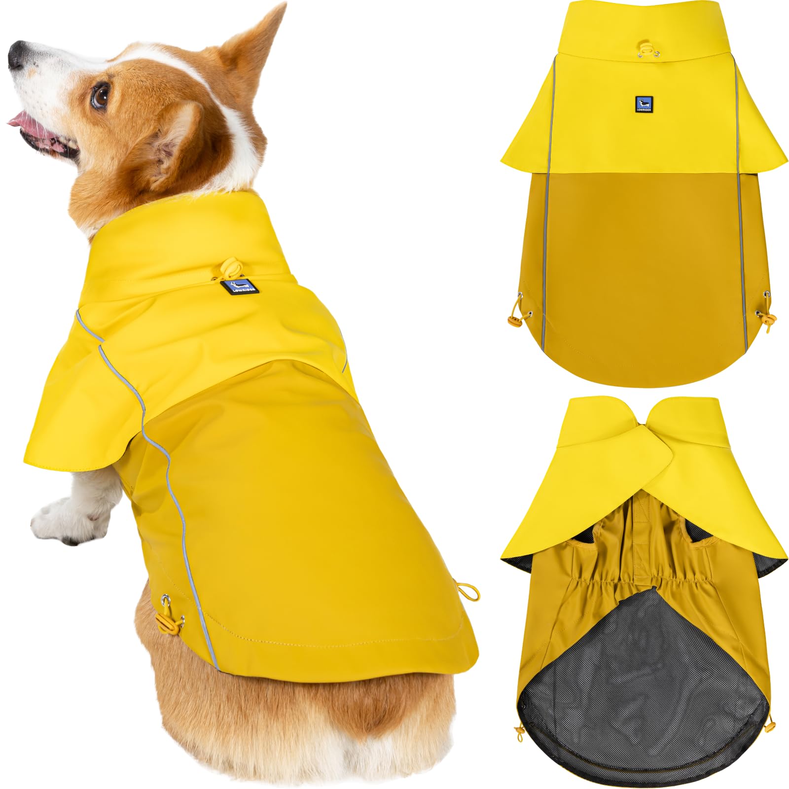 LOWRIDER Dog Raincoat