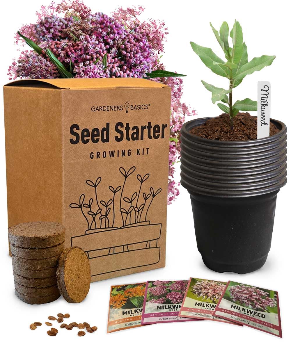 Gardeners Basics Butterfly Milkweed Seeds Starter Kit