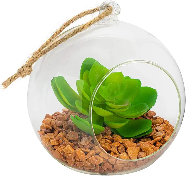 Nicola Spring Hanging Glass Terrarium - 12cm Open Planter for Indoor/Outdoor Plants