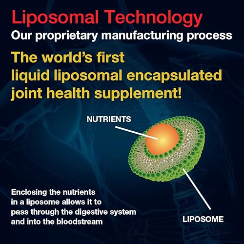 Miniatura 7 de Aurora Nutrascience, exoFlex Eggshell Membrana con BiovaFlex,+ vitamina C, curcumina, y boswellia, 10 onzas líquidas (10.1fl oz)