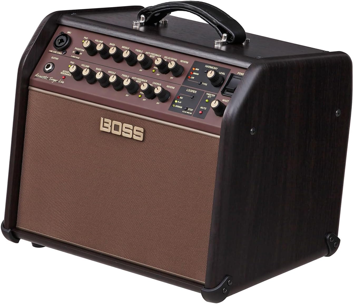 Boss ACS Live 60W Combo Amplifier for Acoustic Guitar and Vocals - Image 7