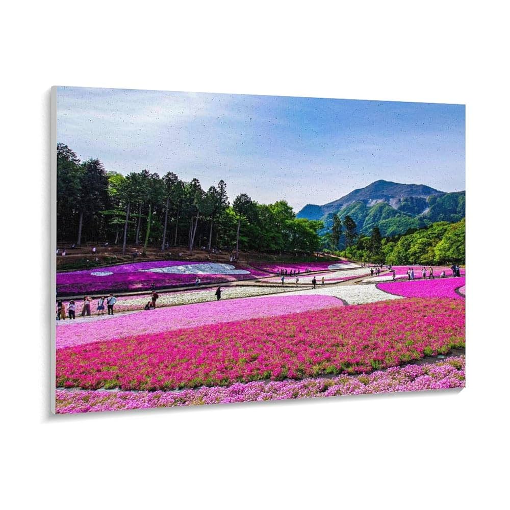 Amazon | 埼玉県 武甲山とシバザクラ 数字キットによる絵画 数字