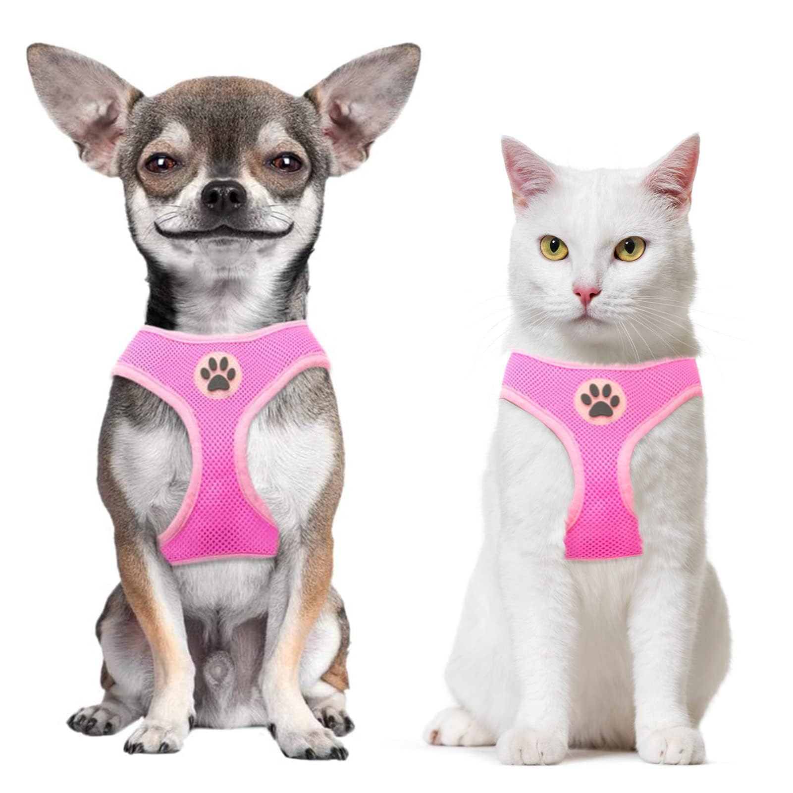 BINGPET Small Dog Harness - Breathable Mesh Puppy Cat Harnesses - No Pull Adjustable Dog Harness Dog Vest Harness for Small and Medium Dogs