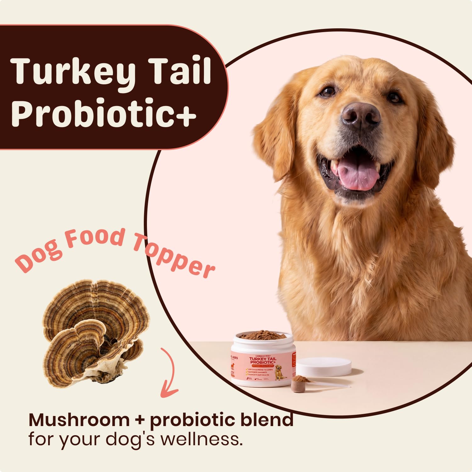 Turkey Tail Mushroom for Dogs – Turkey Tail Mushroom Powder with Probiotics for Immune and Digestive Support, Supports Lumps and Bumps, Bacon Flavored Daily Dog Supplement — Amazon image 2