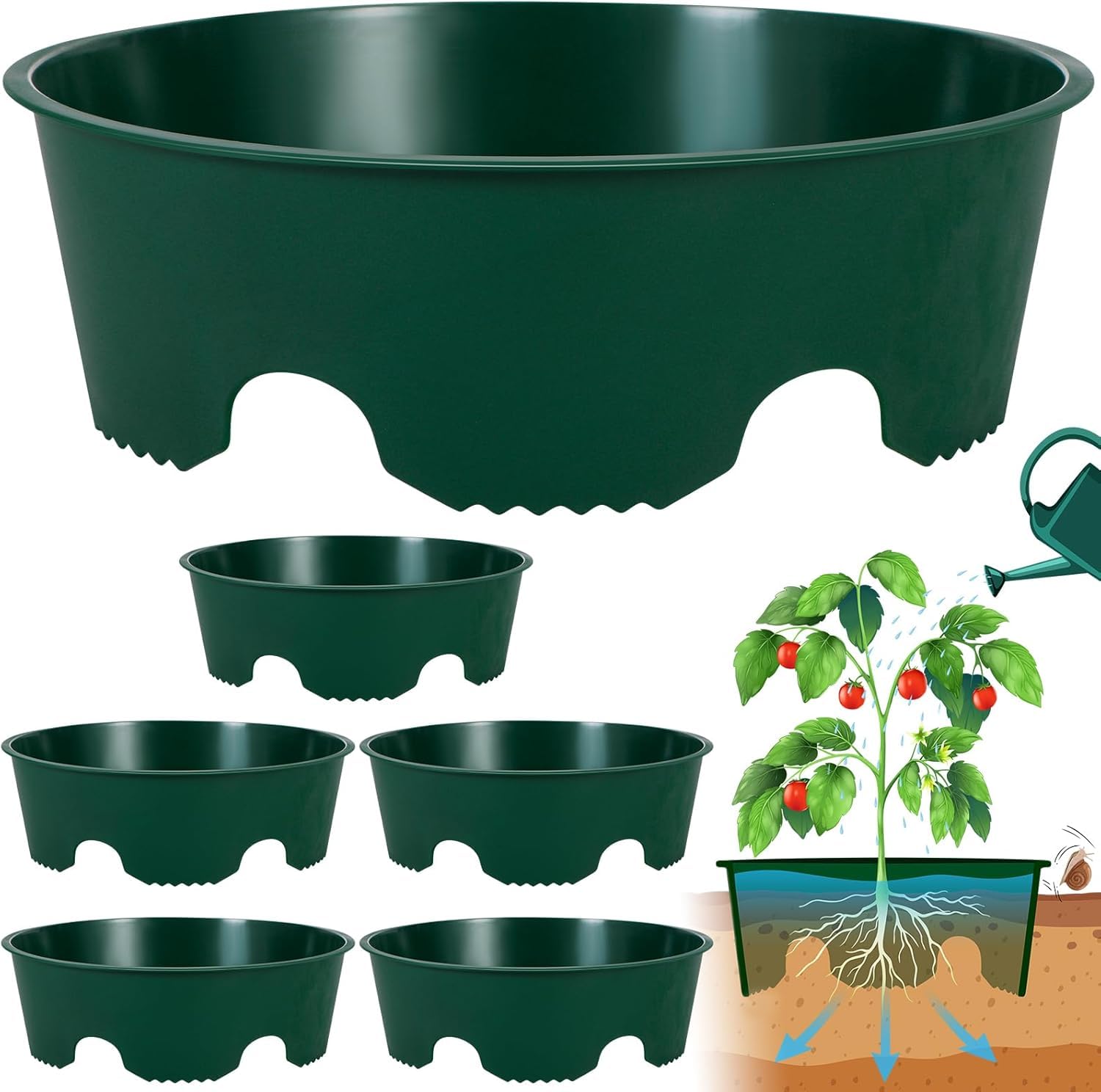 6er Set Pflanzringe und Bewässerungsring Ø 22 cm, Gießhilfe für Pflanzen, Pflanzring als Schneckenschutz und Schutz vor Frost, Bewässerungssystem für Gewächshaus und Garten