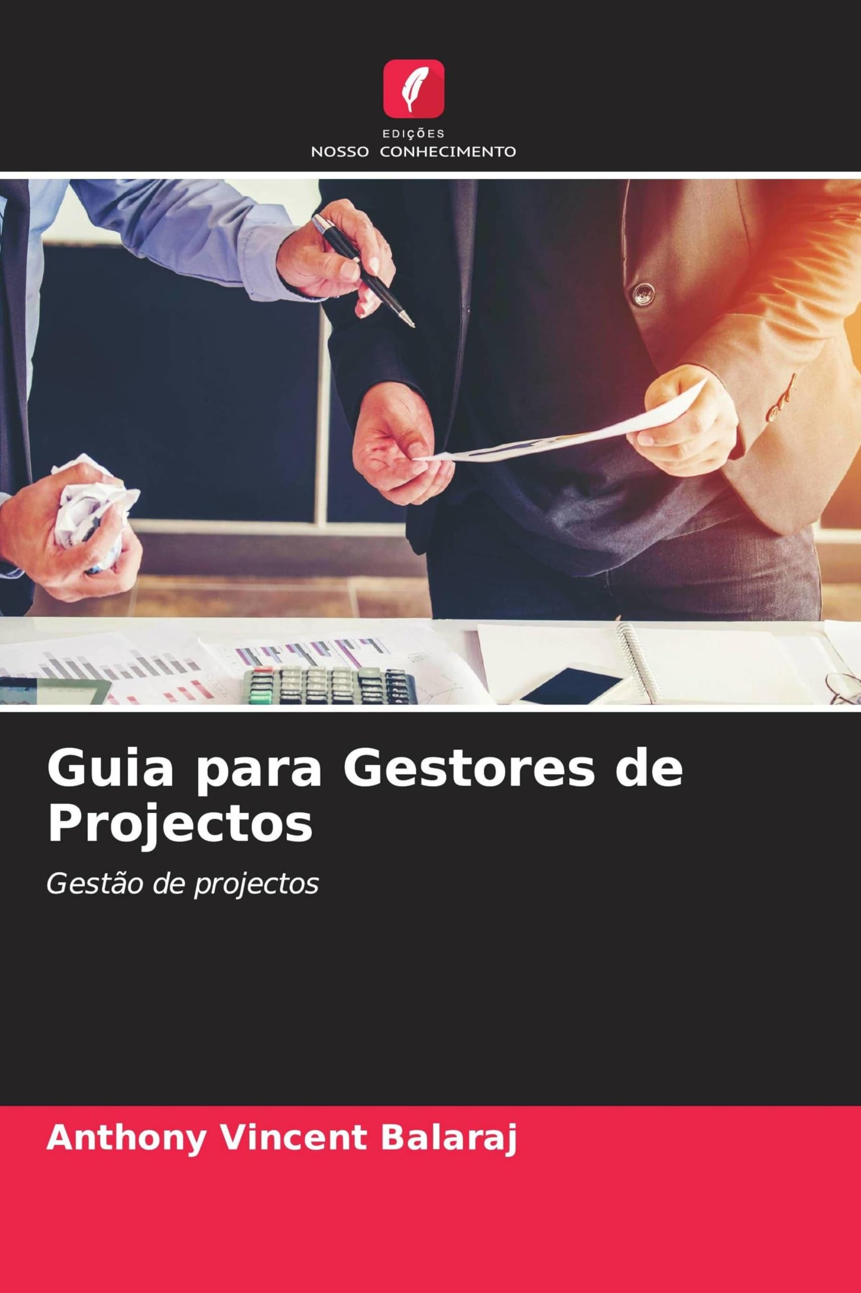 Guia para Gestores de Projectos: Gestão de projectos