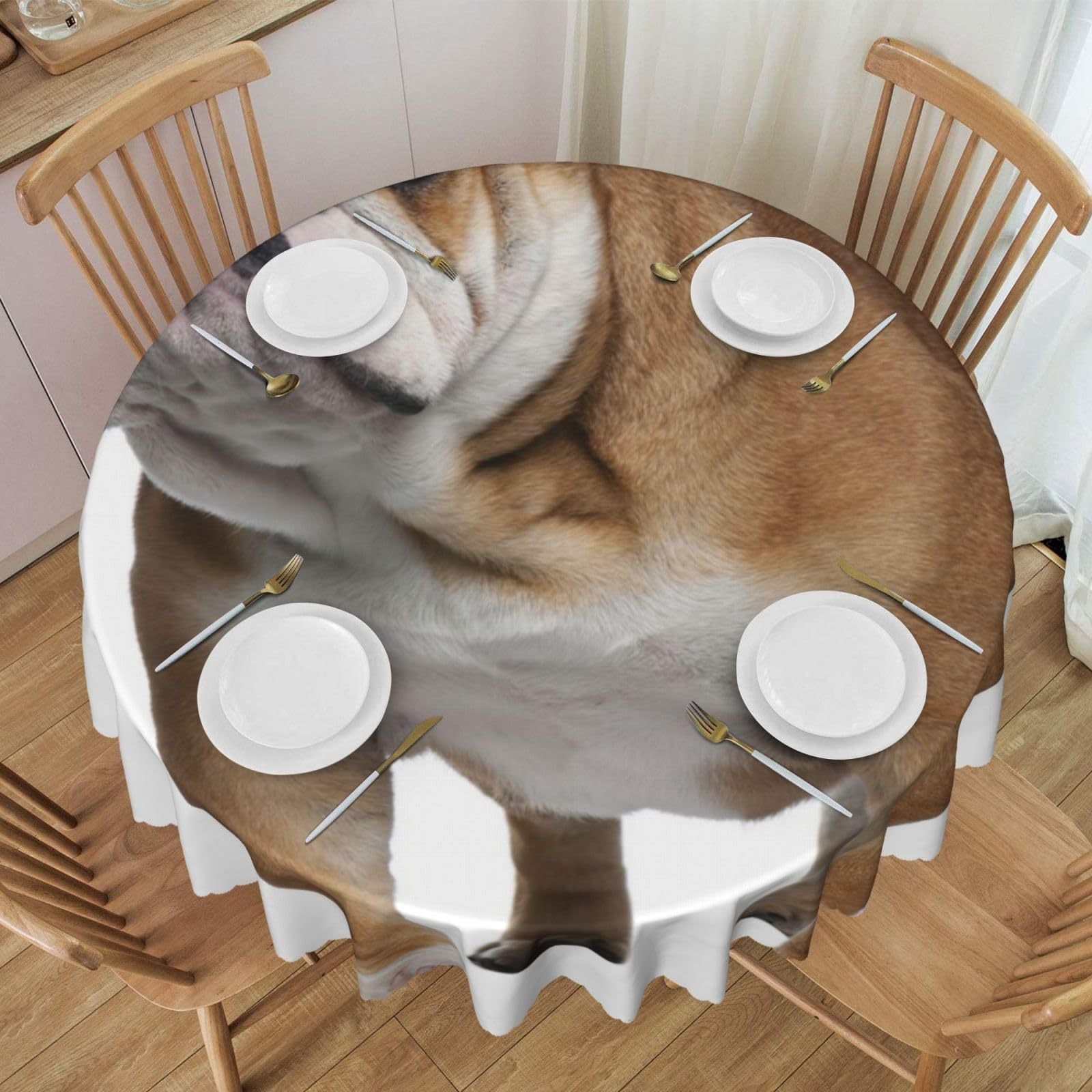 DCEHGEW 60 In Round Tablecloth with Lace, English-Bulldog Printed Oilproof & Washable Fabric Picnic Table Cloth Table Covers