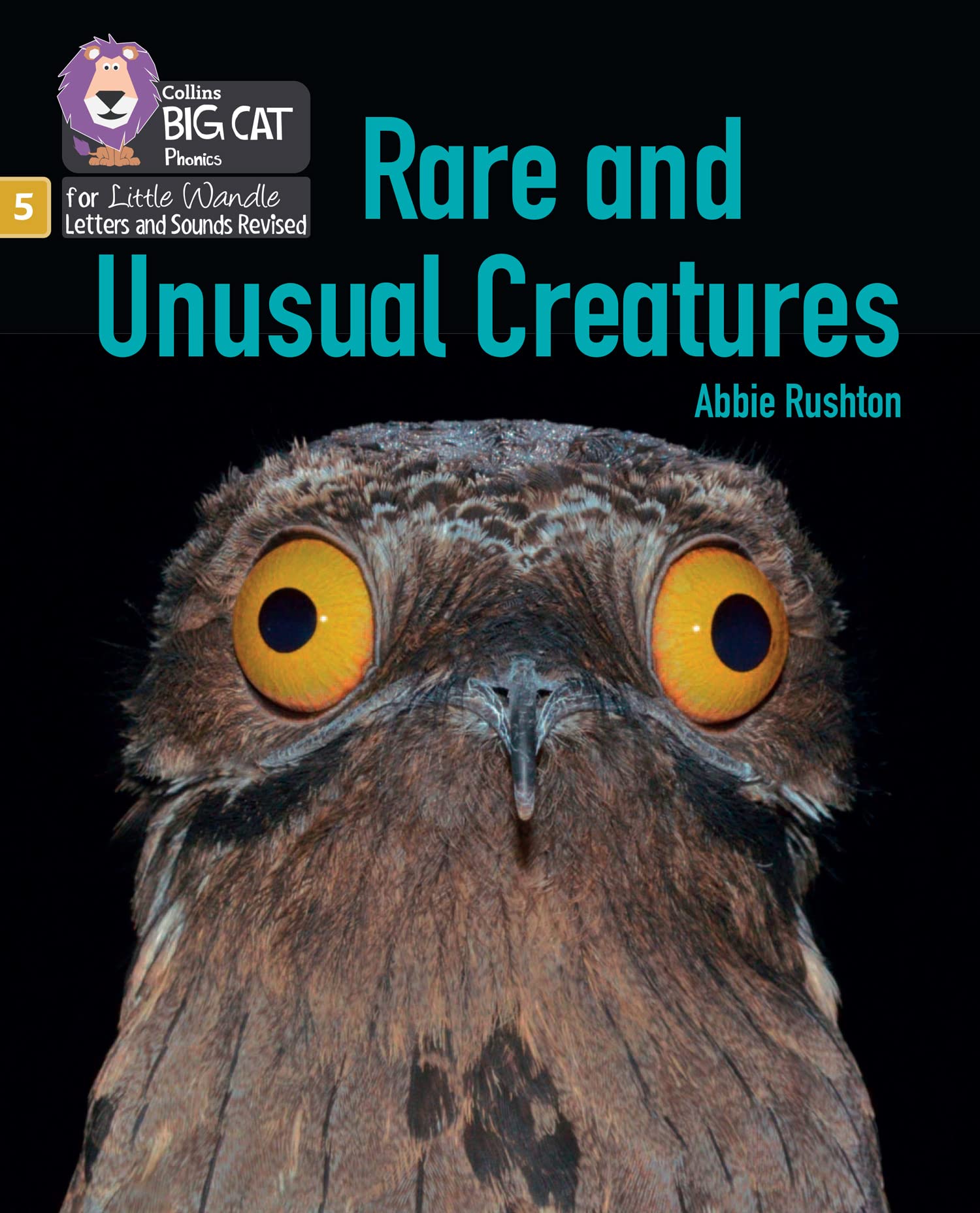 Rare and Unusual Creatures by Abbie Rushton (Paperback Book)