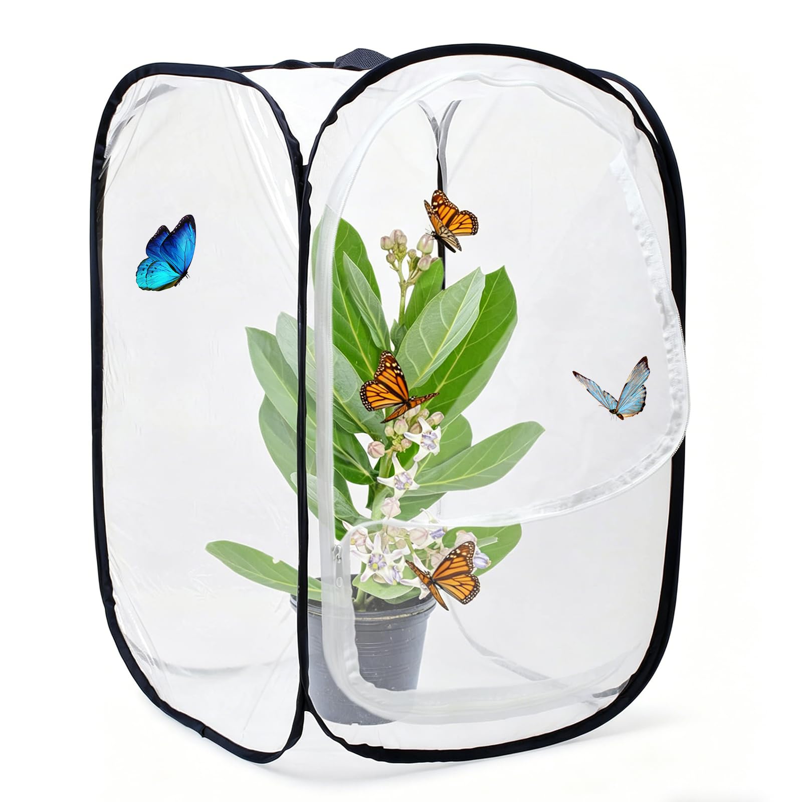 Gabbia per Farfalle Portatile In Mesh Pieghevole Habitat per Insetti Allevamento Piantine Bianco-nero
