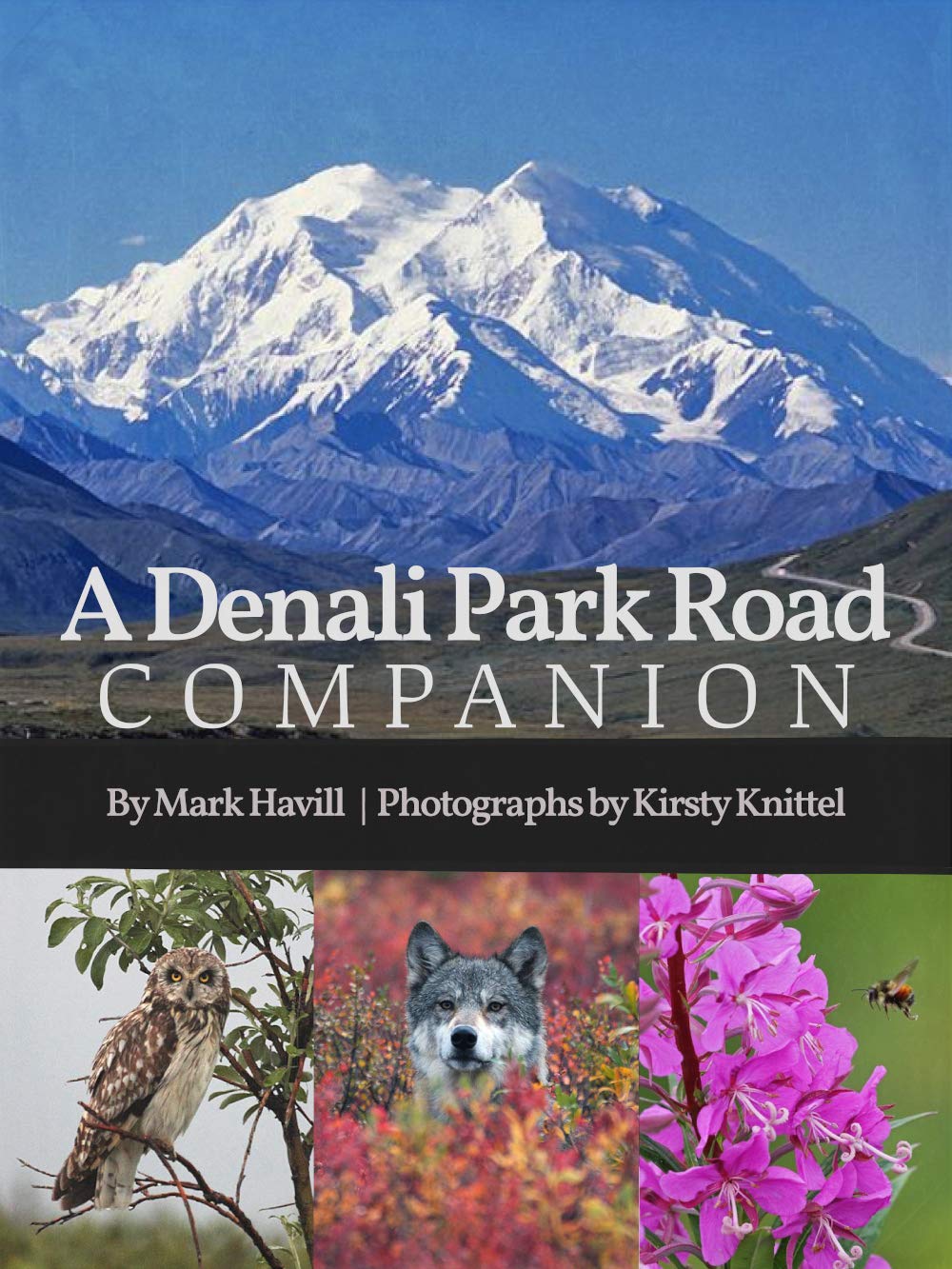 Livre Denali Park Road pour préparer son road trip aventure dans le wild d'Alaska