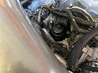 Review Image by Thomas W. Schroeder Thomas W. Schroeder