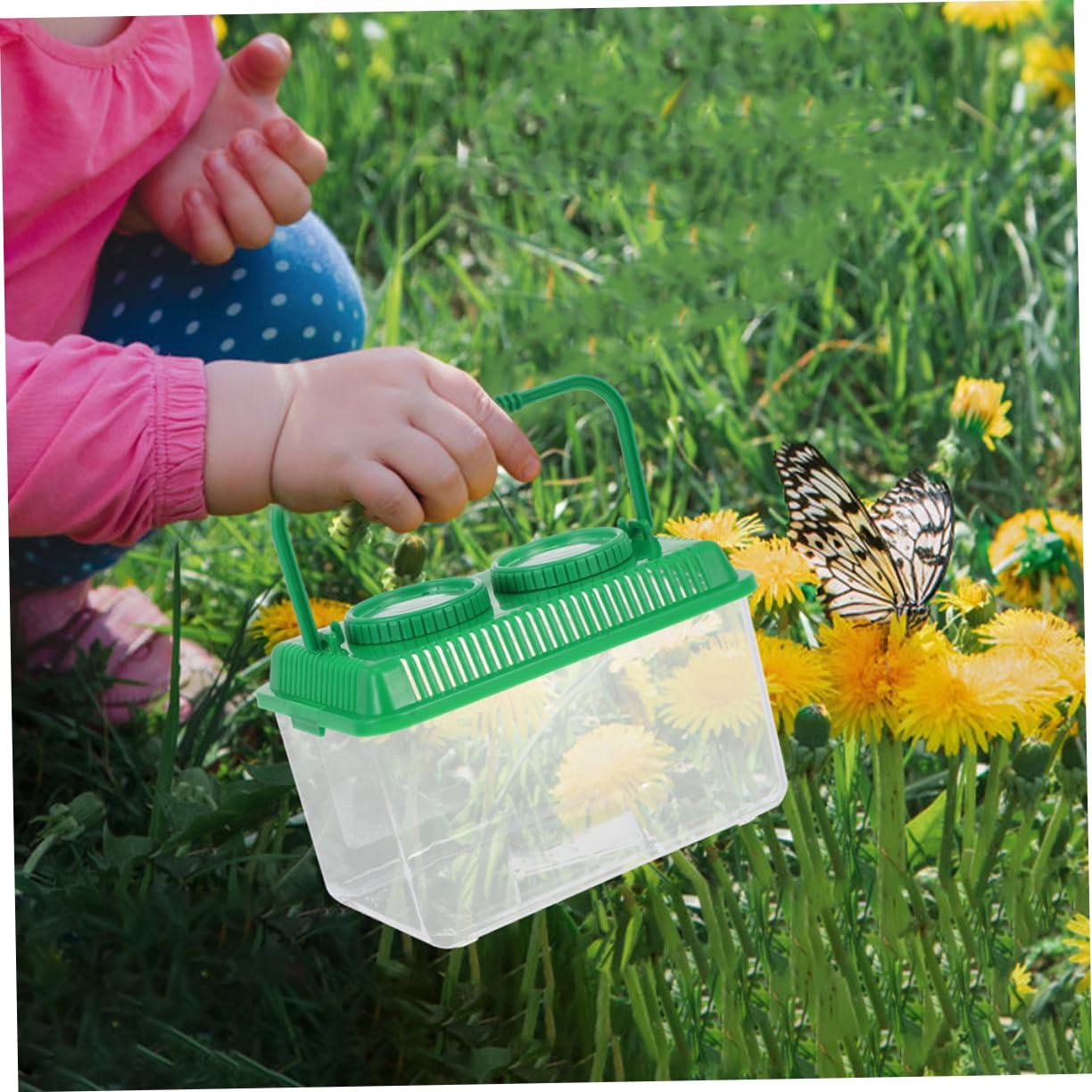 Cabilock 4 Sätze Beobachtungsbox Für Insekten Für Überwachung Halten Kollektor -fangset Insektenfänger Goldfischgreifer Explorer Kit Green Acryl 2 Stück * 4