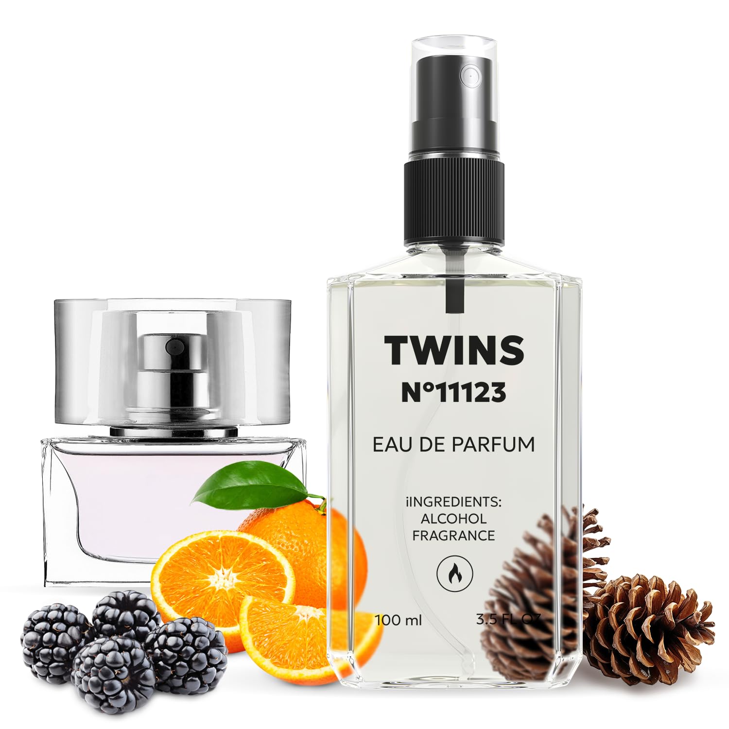 TWINS Impression of Eau de Parfum II | Perfume for Women Eau de Parfum | No.11123 | 3.4 Fl Oz / 100 ml
