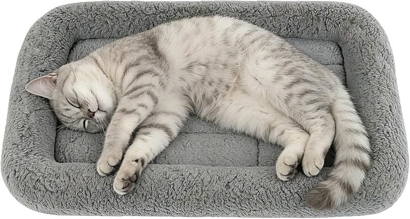 Cama para Gatos LESYPET com Almofada Elevada e Base Antiderrapante, Tamanho M