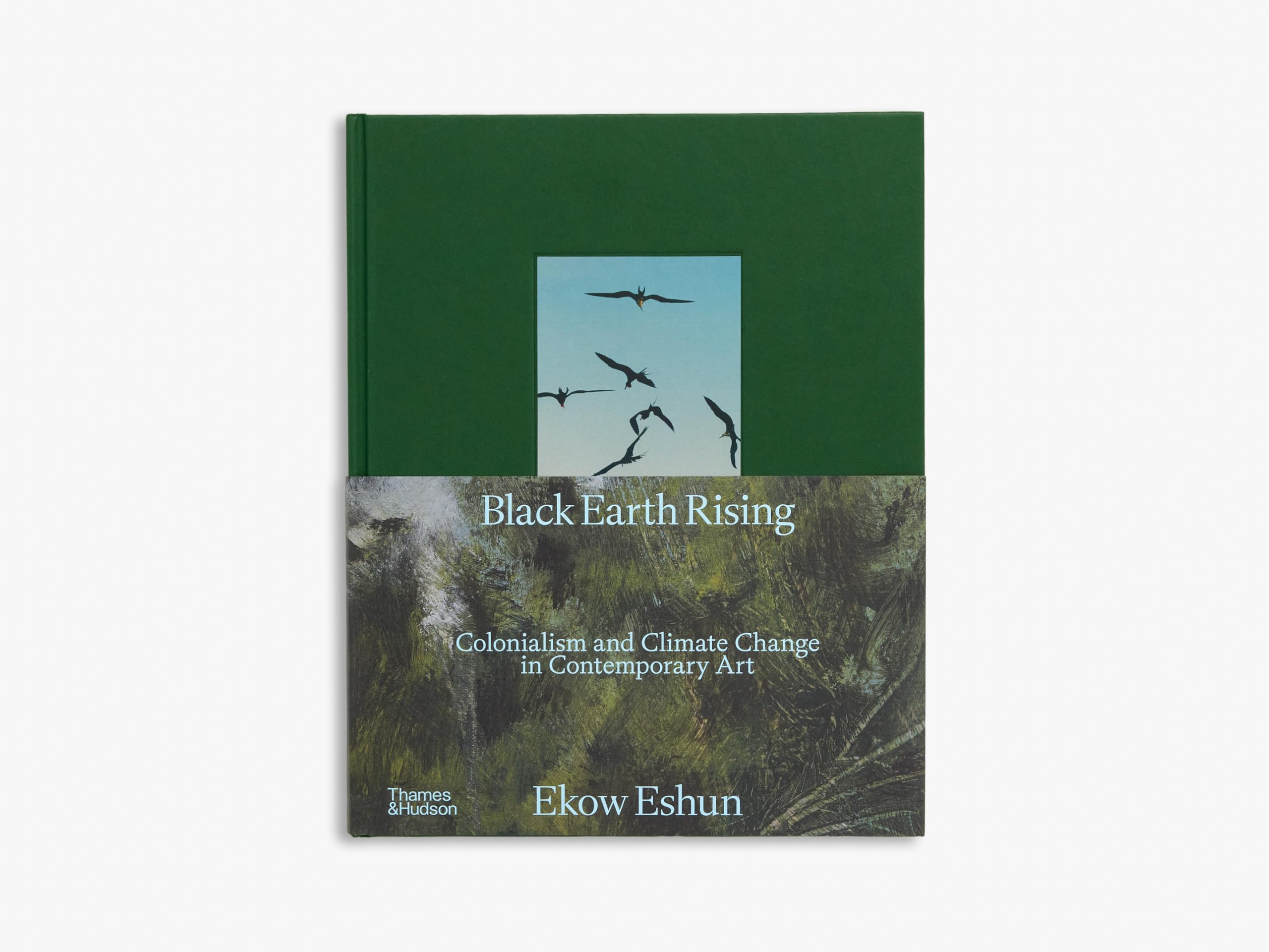 Black Earth Rising: Colonialism and Climate Change in Contemporary Art