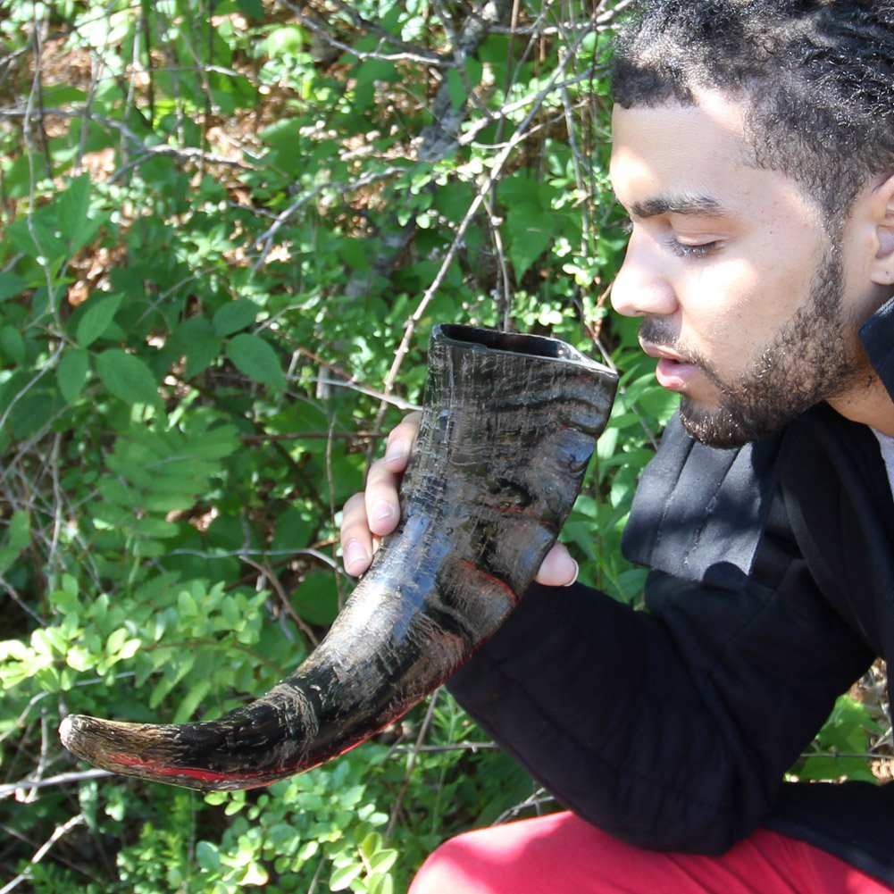 Winter Solstice Viking Feast Drinking Horn
