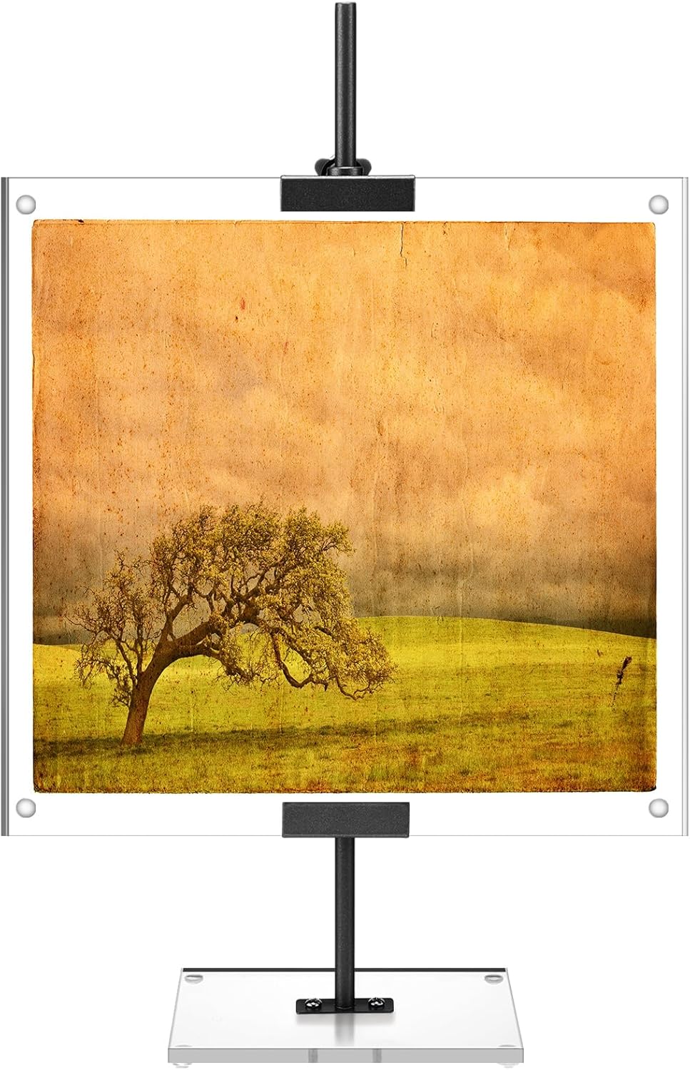 RattanView Black Adjustable Metal Easel Stand with Acrylic Floating Photo Frame 16.5" Tabletop Metal Standing Easel Display Stand for Display Picture, Frame, Photos, Art, Poster, Signs