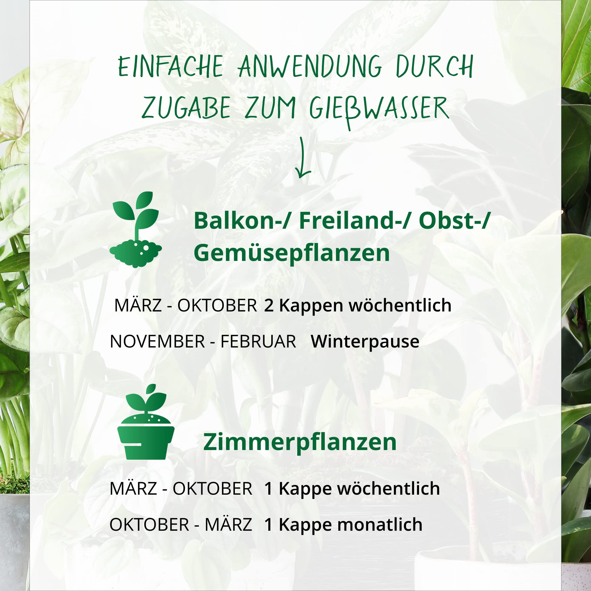 Floraveda Bio Dnger 3 Liter | Flssigdnger aus natrlichen Traubentrester  | Fr Zimmerpflanzen, Rasen, Obst-Gehlze, Gemse & Kruter | 100% rein  biologischer Naturdnger | Geschenk-Idee fr Grtner : Amazon.de: Garten
