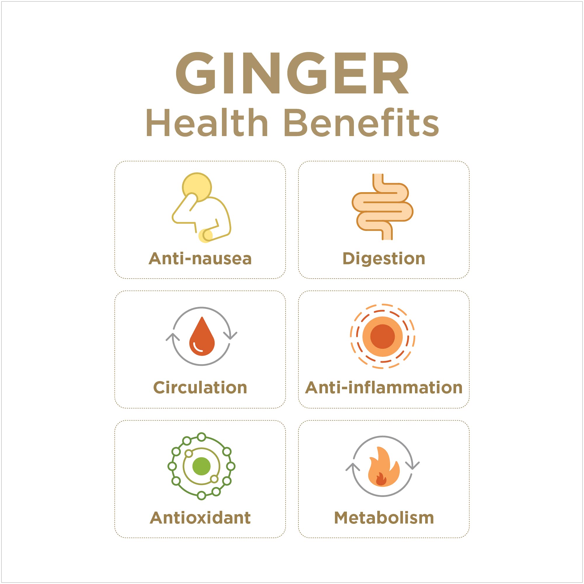 The Ginger People Ginger & Turmeric Juice Set Digestion + Anti